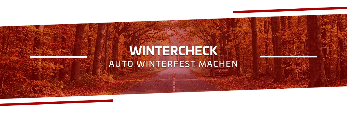 Auto winterfest machen: Wintercheck, Kosten und was Du selbst erledigen kannst