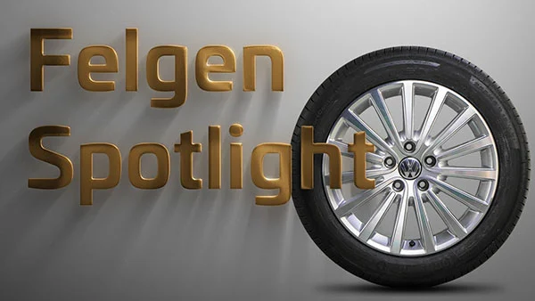 So sehen die VW Canberra Felgen an Deinem T5/T6 Bus / Multivan aus! T5/T6 mit Canberra Felgen